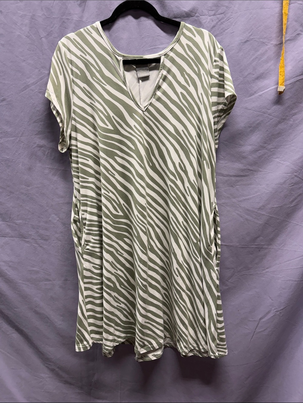 Zebra Stripe V-Neck Tunic Dress in Sage and White